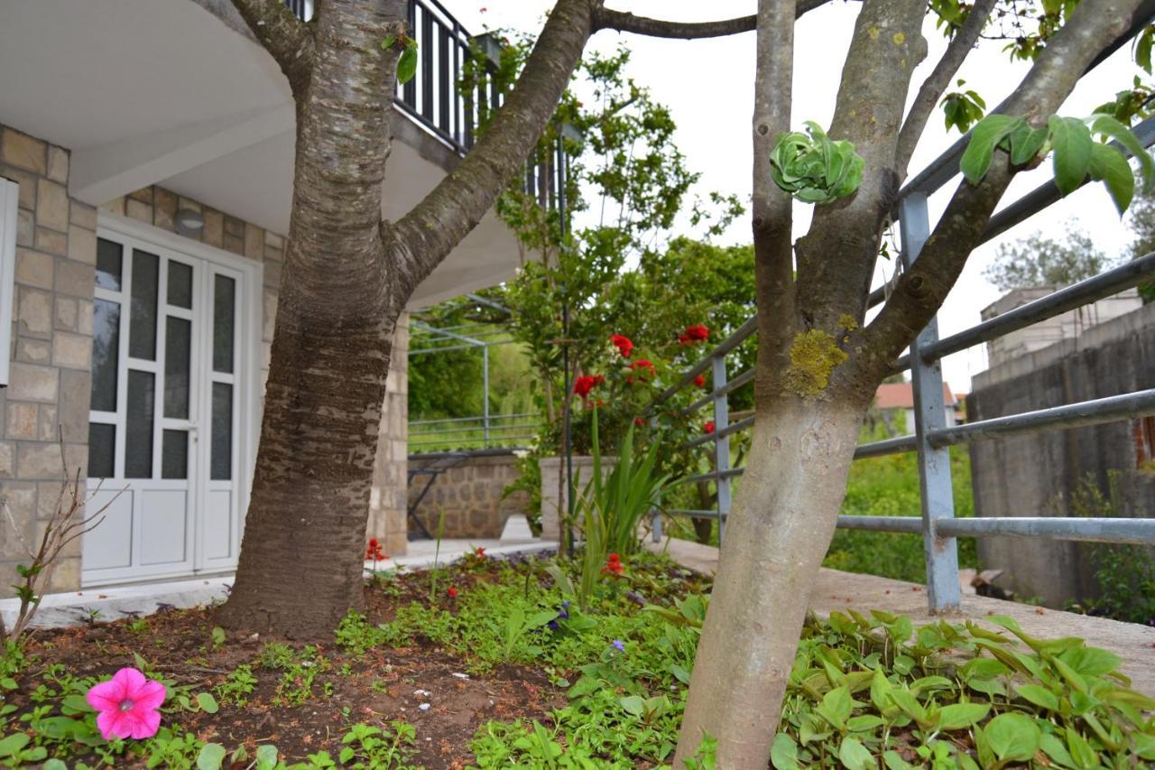 Tivat Apartments Dış mekan fotoğraf