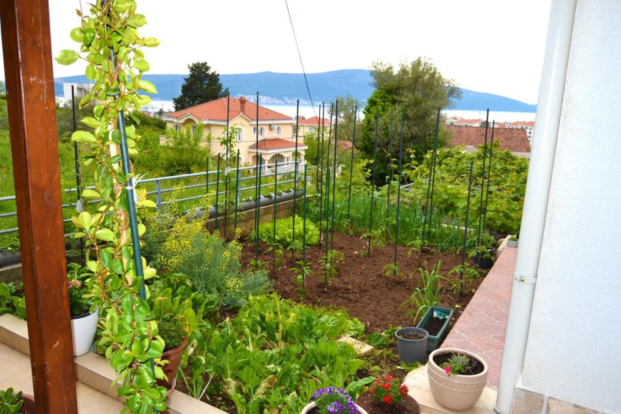 Tivat Apartments Dış mekan fotoğraf